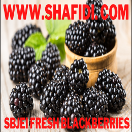 SBJEI FRESH BLACKBERRIES